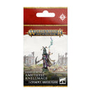 Age of Sigmar Cities Of Sigmar Amethyst Knellmage Miniatures - Models