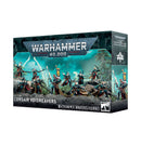 Warhammer 40K Aeldari Corsair Voidreavers Miniatures - Models