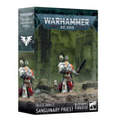 Warhammer 40K Blood Angels Sanguinary Priest Miniatures - Models