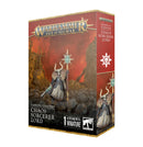 Warhammer Age of Sigmar Slaves to Darkness Chaos Sorcerer Lord Miniatures - Models