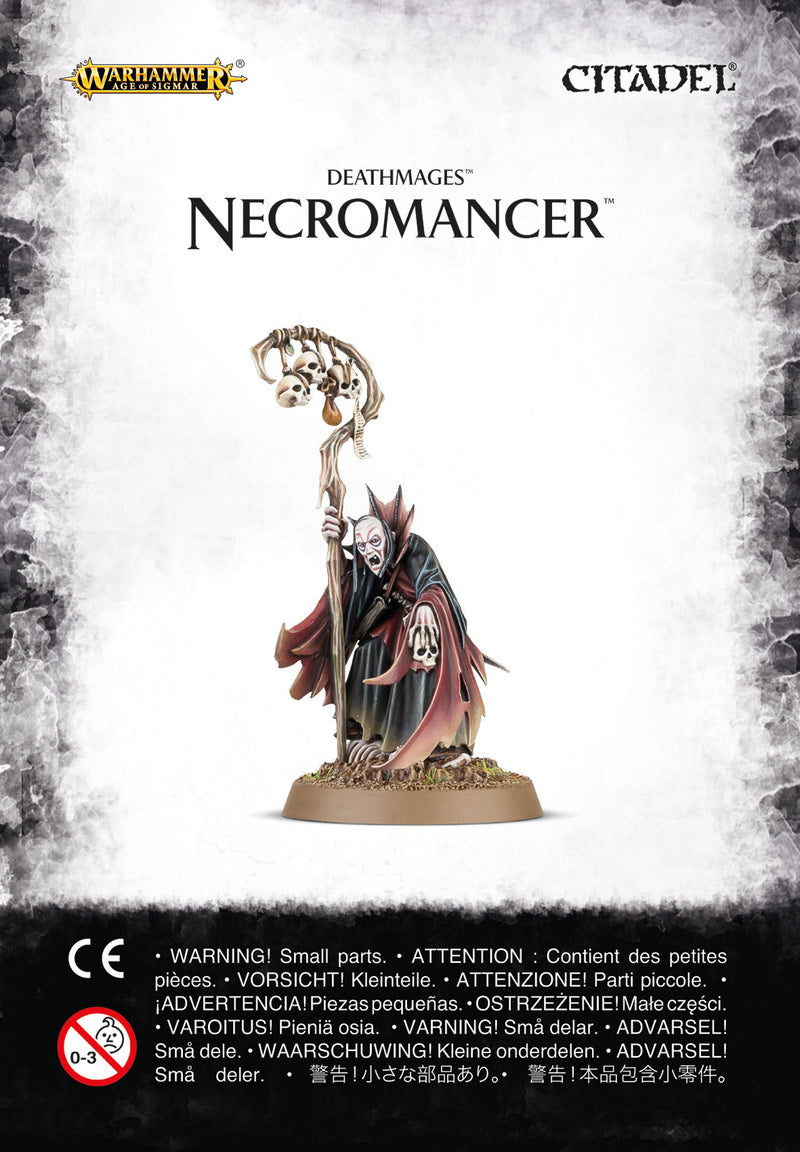 Warhammer Age of Sigmar Necromancer