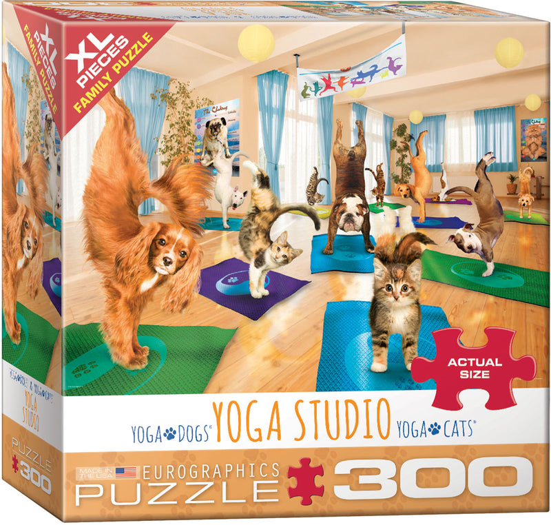 Puzzle: Yoga Studio