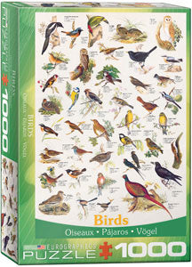 Puzzle: Birds
