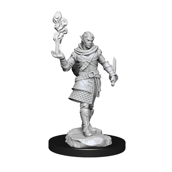 Critical Role Unpainted Miniatures: Pallid Elf Rogue and Bard Male