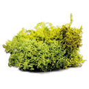 Army Painter: Summer Undergrowth Miniatures - Tools