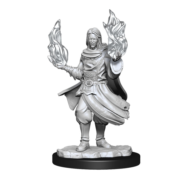 Critical Role Unpainted Miniatures: Hollow One Rogue and Sorceror Male