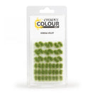 Citadel Color Tufts: Verdia Veldt Miniatures - Tools