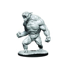 Critical Role Unpainted Miniatures: Aeorian Reverser RPG - Miniatures