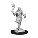 Critical Role Unpainted Miniatures: Pallid Elf Rogue and Bard Male RPG - Miniatures