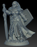 Dark Heaven Legends - Jada Twinsuns, Female Paladin Miniatures - Models