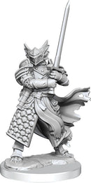 D&D Frameworks Dragonborn Paladin Male RPG - Miniatures