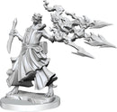 D&D Frameworks Dragonborn Sorcerer Female RPG - Miniatures