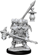 D&D Frameworks Dwarf Fighter Male RPG - Miniatures