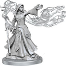 D&D Frameworks Elf Wizard Female RPG - Miniatures