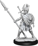 D&D Frameworks Human Fighter Female RPG - Miniatures