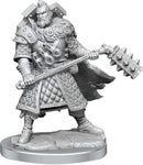 D&D Frameworks Human Fighter RPG - Miniatures