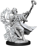 D&D Frameworks Human Wizard Male RPG - Miniatures