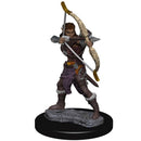 D&D Icons of the Realm Premium Figures RPG - Miniatures