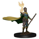 D&D Icons of the Realm Premium Figures RPG - Miniatures