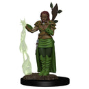 D&D Icons of the Realm Premium Figures RPG - Miniatures