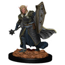 D&D Icons of the Realm Premium Figures RPG - Miniatures