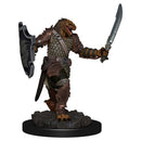D&D Icons of the Realm Premium Figures RPG - Miniatures