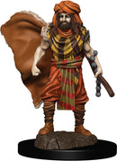 D&D Icons of the Realm Premium Figures RPG - Miniatures