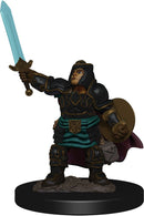 D&D Icons of the Realm Premium Figures RPG - Miniatures