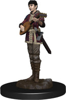 D&D Icons of the Realm Premium Figures RPG - Miniatures