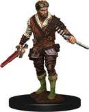 D&D Icons of the Realm Premium Figures RPG - Miniatures