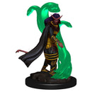 D&D Icons of the Realm Premium Figures RPG - Miniatures