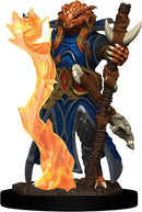 D&D Icons of the Realm Premium Figures RPG - Miniatures