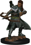 D&D Icons of the Realm Premium Figures RPG - Miniatures