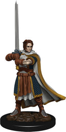 D&D Icons of the Realm Premium Figures RPG - Miniatures