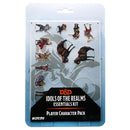 D&D Idols of the Realms Essentials 2D Miniatures Players Pack RPG - Miniatures