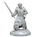 D&D Nolzur’s Miniatures: Dead Warlord RPG - Miniatures