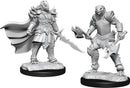 D&D Nolzur's Miniatures: Dragonborn Fighter Female RPG - Miniatures