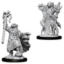 D&D Nolzur's Miniatures: Female Dragonborn Sorcerer RPG - Miniatures
