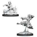 D&D Nolzur's Miniatures: Female Human Monk RPG - Miniatures