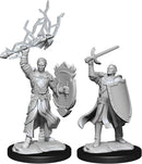D&D Nolzur's Miniatures: Half - Elf Paladin Male RPG - Miniatures