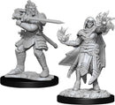 D&D Nolzur's Miniatures: Hobgoblin Fighter Male & Hobgoblin Wizard Female RPG - Miniatures