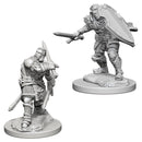 D&D Nolzur's Miniatures: Human Male Paladin RPG - Miniatures