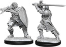 D&D Nolzur's Miniatures: Human Paladin Male RPG - Miniatures