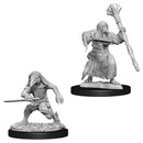 D&D Nolzur's Miniatures: Kenku Adventurers RPG - Miniatures