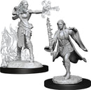 D&D Nolzur's Miniatures: Multiclass Warlock Sorcerer Female (W13) RPG - Miniatures