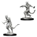 D&D Nolzur's Miniatures: Tiefling Male Rogue RPG - Miniatures