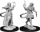 D&D Nolzur's Miniatures: Tiefling Sorcerer Female RPG - Miniatures