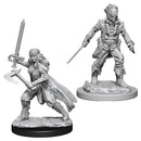 D&D Nolzur's Miniatures: Vampire Hunters RPG - Miniatures