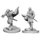 D&D Nolzur's Miniatures: Vampires RPG - Miniatures