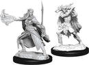D&D Nolzur's Miniatures: Winter Eladrin & Spring Eladrin RPG - Miniatures
